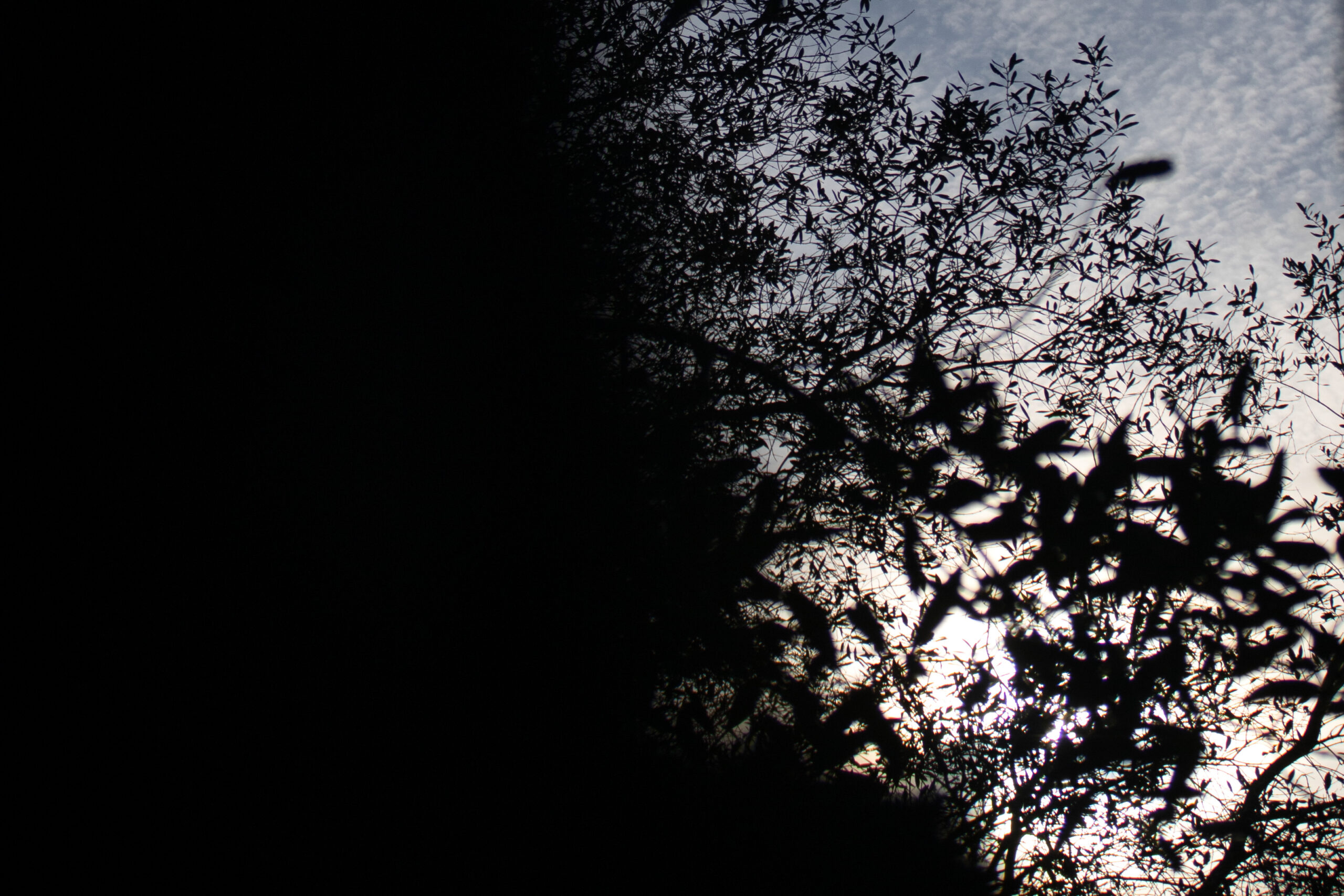 Fotografia del progetto Luce/Buio